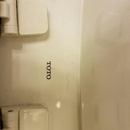 Hairs on the toilet.... not mine! Hairs on the toilet.... not mine!