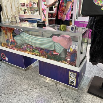 Meow Wolf - Display - Gift Shops Near Me - Denver, Colorado
