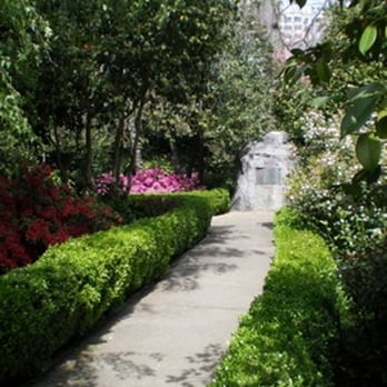 Capitol Park - amongst the trees - Parks Near Me - Sacramento, California