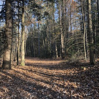 Pangman Springs - Hiking Near Me - Newmarket, Ontario Pangman Springs - Hiking Near Me - Newmarket, Ontario