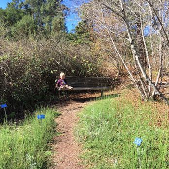 Regional Parks Botanic Garden at Tilden - Botanical Gardens Near Me - Berkeley, California