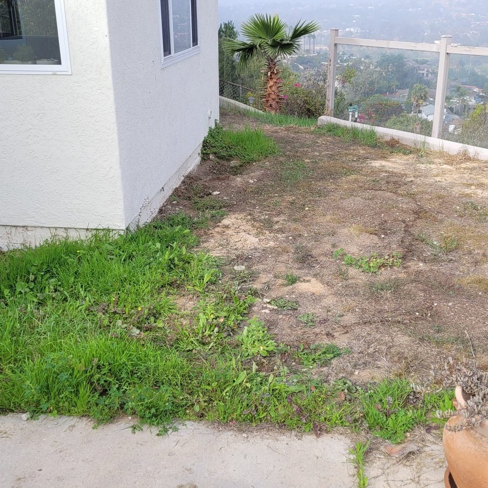 Murillo Landscape - Sideyard Before - Masonry/Concrete Near Me - Escondido, California Murillo Landscape - Sideyard Before - Masonry/Concrete Near Me - Escondido, California