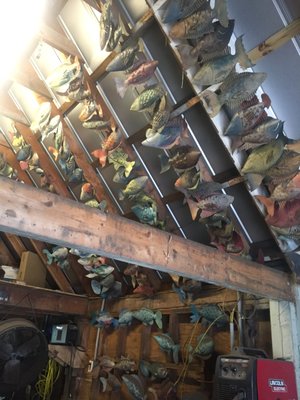 The Iron Fish Gallery & Studio by null