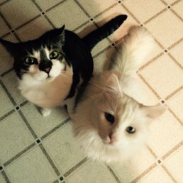 The Boys