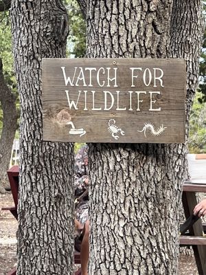 Roughhouse Brewing by null