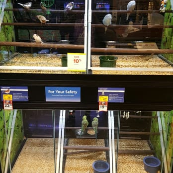 PetSmart - Birds for sale - Pet Training Near Me - Jacksonville, North Carolina