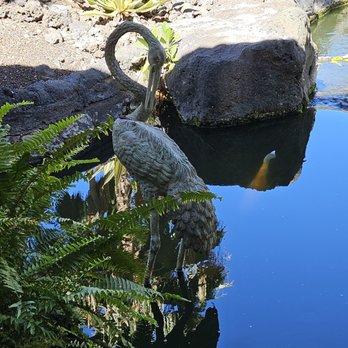 Fairmont Orchid - A statue of a swan on an ornamental pool filled with Koi fish. - Hotels Near Me - Kohala Coast, Hawaii