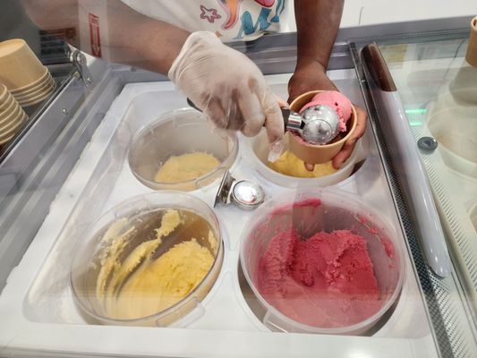 Mr P's Homemade Ice Cream by null