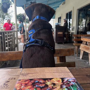 Iguanas - Outdoor seating... my pup patiently waiting for dad to come back - Seafood Near Me - St. Simons, Georgia