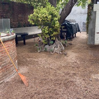 La Peregrina Restaurant - Outdoor patio cats included - Pizza Near Me - La Paz, BCS