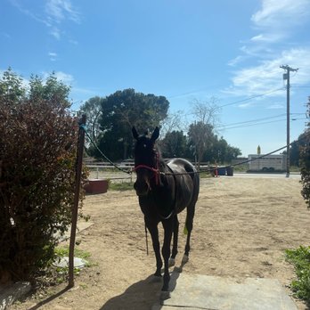 La Tuna Stables - Horse Boarding Near Me - Sun Valley, California