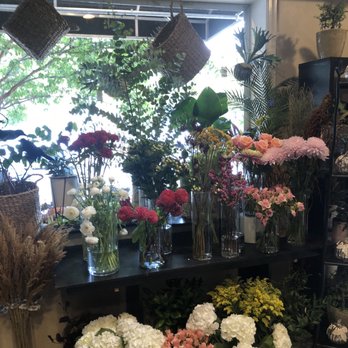 The Enchanted Florist - Florists Near Me - Alexandria, Virginia The Enchanted Florist - Florists Near Me - Alexandria, Virginia