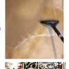 Spotless Carpet Cleaning gift card