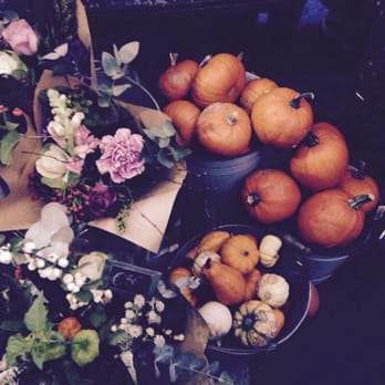 Dublin Design Night - Mini pumpkins at The Garden - Powerscourt -Terrarium Time soon! #DublinDesignNight - Yelp Events Near Me