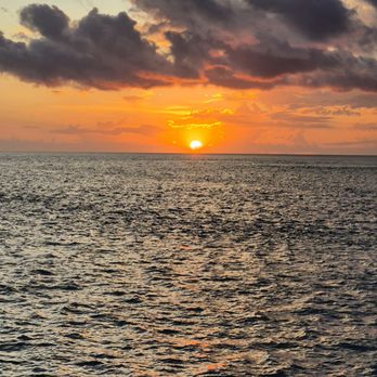 Captiva Cruises - Boat Charters Near Me - Captiva, Florida Captiva Cruises - Boat Charters Near Me - Captiva, Florida