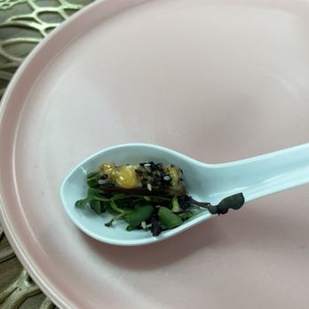 Tea Around Town - Tuna - Bus Tours Near Me - Chicago, Illinois