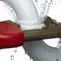 Reliable Houston Plumbing Services and Drain Cleaning