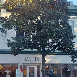 Harper