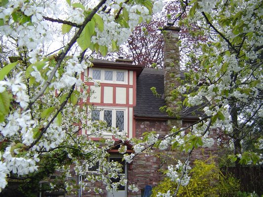Bonnybank Bed and Breakfast by null