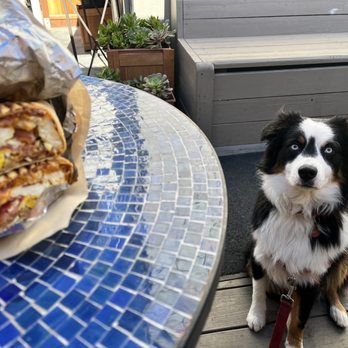 Perfect Pour Cafe - Dog friendly! - Cafes Near Me - Pacifica, California Perfect Pour Cafe - Dog friendly! - Cafes Near Me - Pacifica, California