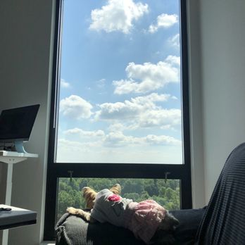 Signature Reston Town Center Apartments - Dog enjoying view - Apartments Near Me - Reston, Virginia Signature Reston Town Center Apartments - Dog enjoying view - Apartments Near Me - Reston, Virginia