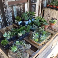 Hidden Springs Farm Market