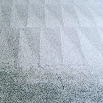 Absolute Green Solutions - Carpet Cleaning Near Me Absolute Green Solutions - Carpet Cleaning Near Me