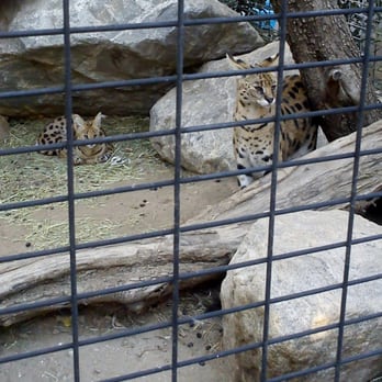 Wildlife Learning Center - Zoos Near Me - Sylmar, California Wildlife Learning Center - Zoos Near Me - Sylmar, California