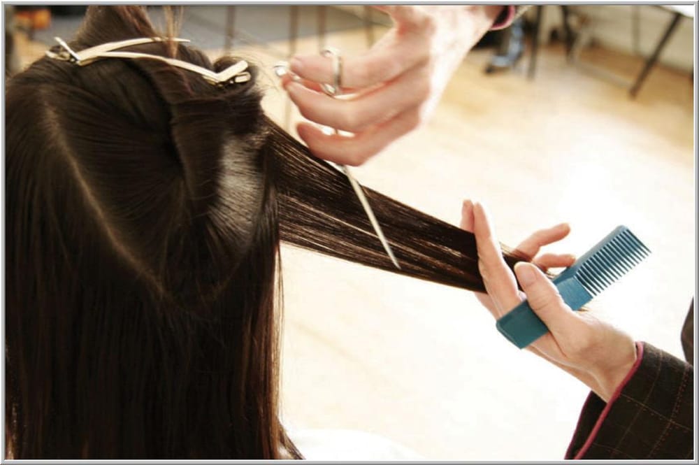 Antonio Melani Salon Logo