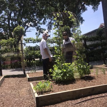 Husk - Staff looking at herbs in the garden - Southern Near Me - Nashville, Tennessee