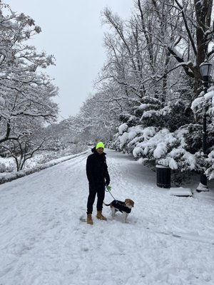 Fort Tryon Park by null