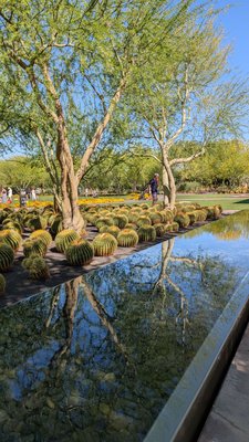 Sunnylands Center & Gardens by null