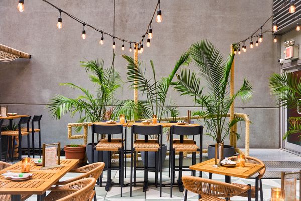 Vida Verde - Tequila Bar by null