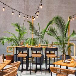 Vida Verde - Patio outdoor dining