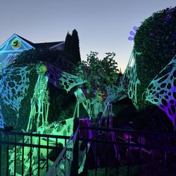 Holidays on Franklin - Great Local attraction
