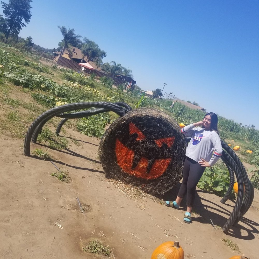 Mountain Valley Ranch - Pumpkin Patches Near Me - Ramona, California Mountain Valley Ranch - Pumpkin Patches Near Me - Ramona, California