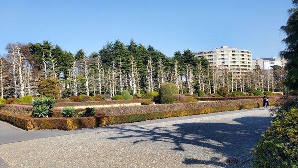 Shinjuku Gyoen National Garden by null