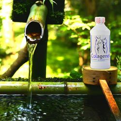 Vitamerica Natural Products