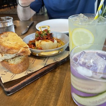OLIVIA - Italian Near Me - Tampa, Florida