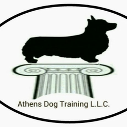Athens Dog Training