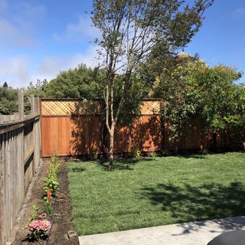 Blue Cypress Landscaping - After - Landscaping Near Me - Penngrove, California Blue Cypress Landscaping - After - Landscaping Near Me - Penngrove, California