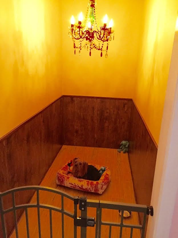 IMPECCABLE PET RESORT & SPA Updated October 2024 10 Reviews 253