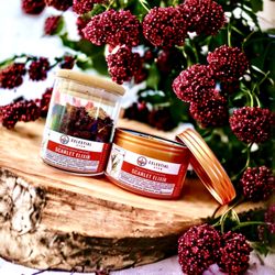 Celestial Stem - Celestial Stem Ayurvedic Wellness Teas