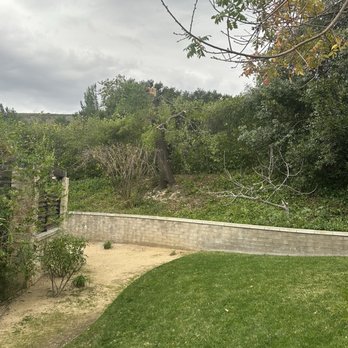 Pineda's Tree Care - After work was done - Tree Services Near Me Pineda's Tree Care - After work was done - Tree Services Near Me