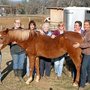 Photo of ReHorse Rescue Ranch