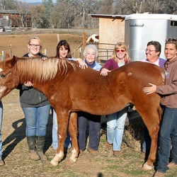 ReHorse Rescue Ranch - The folks at ReHorse Rescue