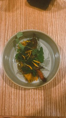 Maude & the Bear by null