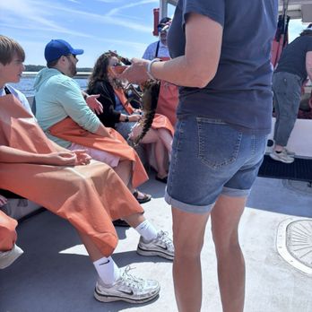Lucky Catch Cruises - Boat Charters Near Me - Portland, Maine Lucky Catch Cruises - Boat Charters Near Me - Portland, Maine