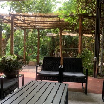 Alchemy Juice Cafe - plenty of shaded seating areas! - Cafes Near Me - Austin, Texas