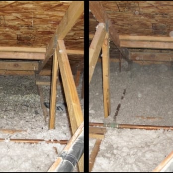 Ruffled Feathers Bird Control - Attic clean up - Pest Control Near Me - Sacramento, California Ruffled Feathers Bird Control - Attic clean up - Pest Control Near Me - Sacramento, California